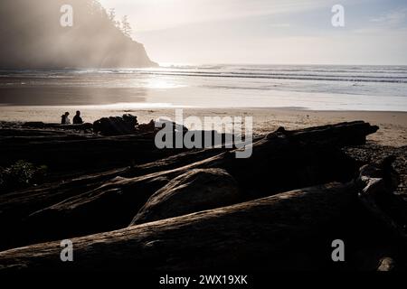 Plage de Short Sands à Oswald West State Park près de Manzanita, Oregon, États-Unis. Banque D'Images