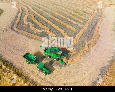 Vue aérienne de machines agricoles travaillant dans un champ récoltant une récolte à Moolort dans le centre de Victoria, Australie Banque D'Images