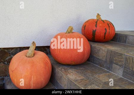 trois citrouilles dans les escaliers de la maison Banque D'Images