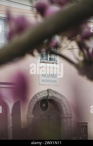 Mozart Wohnhaus in Salzburg am Makartplatz zur Magnolienblüte im Frühling am 25.03.2024. // résidence de Mozart à Salzbourg sur Makartplatz lors de la floraison du magnolia au printemps 25 mars 2024. - 20240326 PD1754 crédit : APA-defacto Datenbank und Contentmanagement GmbH/Alamy Live News Banque D'Images