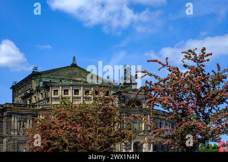 Opéra Semper de renommée mondiale sur la place du Théâtre dans la vieille ville intérieure de Dresde, Saxe, Allemagne. Banque D'Images