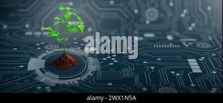 Arbre en croissance avec du sol sur le point de convergence de la carte de circuit imprimé de l'ordinateur. La nature avec la convergence numérique et la convergence technologique. Banque D'Images