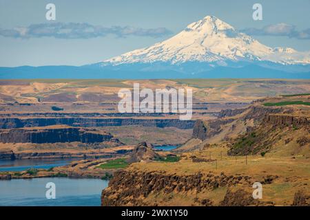 Ruisseaux dans les contreforts du mont Rainer dans l'État de Washington, États-Unis Banque D'Images