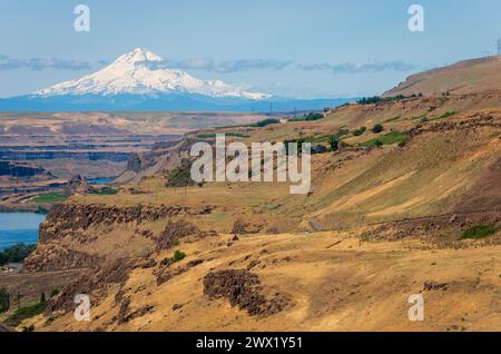 Ruisseaux dans les contreforts du mont Rainer dans l'État de Washington, États-Unis Banque D'Images