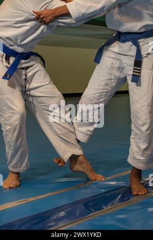 arts martiaux dans ce cas jiu jitsu où vous pouvez voir les détails du kimono, ceinture bleue, balayages, poignées... Banque D'Images