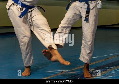 arts martiaux dans ce cas jiu jitsu où vous pouvez voir les détails du kimono, ceinture bleue, balayages, poignées... Banque D'Images