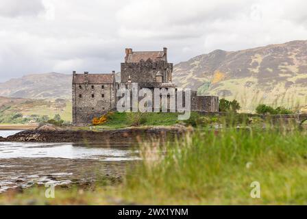 Le château d'Eilean Donan, bastion du patrimoine écossais, s'élève contre une tapisserie de terrain montagneux, avec un premier plan d'herbes luxuriantes Banque D'Images