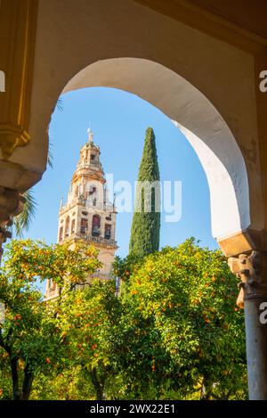 Arch dans arabe Los Naranjos cour et tour du Mosque-Cathedral. Cordoue, Espagne. Banque D'Images