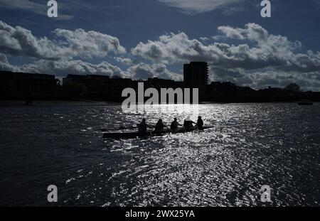 Un bateau à rames sur la Tamise Putney, Londres. Date de la photo : mercredi 27 mars 2024. Banque D'Images