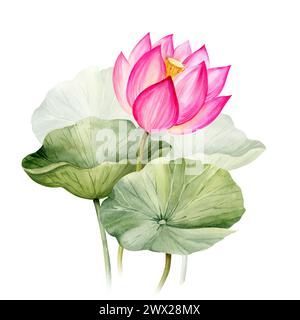 Fleur et feuilles de lotus rose néon, illustration aquarelle isolée sur blanc. Plante de nénuphar tropical asiatique lumineuse avec bourgeon pour spa et salon de yoga, Banque D'Images