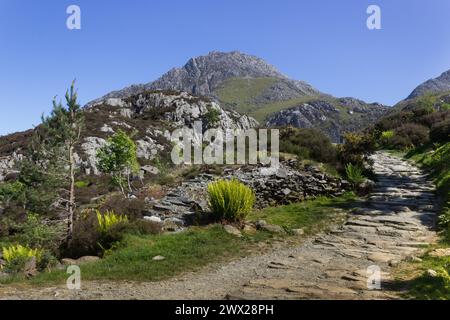 Départ du sentier Idwal à Tryfan Banque D'Images