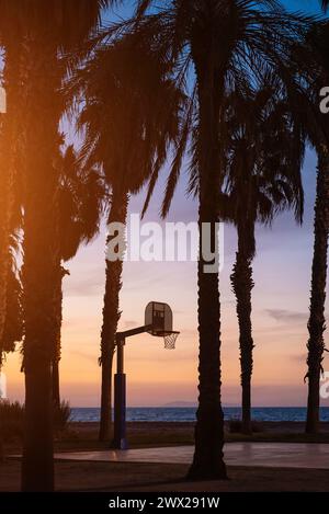 Terrain de basket-ball extérieur avec cerceau au coucher du soleil dans le parc des palmiers, vibrations tropicales californiennes Banque D'Images