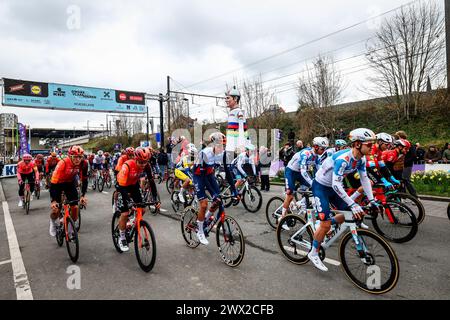 Roeselare, Belgique. 27 mars 2024. Le peloton de coureurs photographié au départ de la course d'élite masculine de la course cycliste 'Dwars Door Vlaanderen', 188, à 6 km de Roeselare à Waregem, mercredi 27 mars 2024. BELGA PHOTO DAVID PINTENS crédit : Belga News Agency/Alamy Live News Banque D'Images