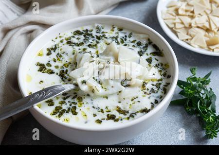 Soupe traditionnelle turque de pâte au yaourt triangulaire coupée maison avec de l'huile et des feuilles de menthe séchées Banque D'Images