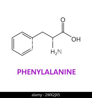Acide aminé, phénylalanine, formule chimique et structure vectorielle de chaîne essentielle. Structure des liaisons moléculaires des acides aminés protéinogènes de phénylalanine et liaison atomique, étude de médecine et de biosynthèse Illustration de Vecteur