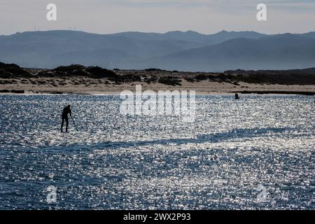 Stand-up paddle boarder à Morro Rock et Morro Bay, Océan Pacifique, Morro Bay, Californie, États-Unis. Banque D'Images
