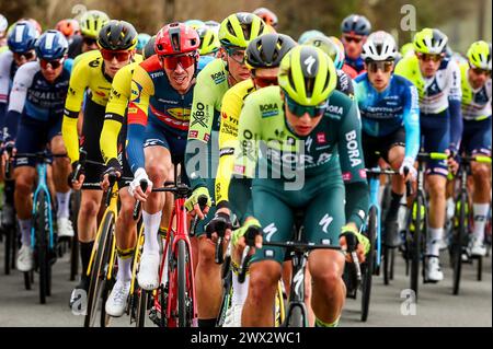 Waregem, Belgique. 27 mars 2024. Tim Declercq belge de Lidl-Trek photographié en action lors de la course d'élite masculine de la course cycliste 'Dwars Door Vlaanderen', 188, à 6 km de Roeselare à Waregem, mercredi 27 mars 2024. BELGA PHOTO DAVID PINTENS crédit : Belga News Agency/Alamy Live News Banque D'Images