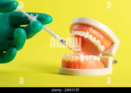 La main d'un médecin dentiste dans un gant médical vert fait une injection anesthésique dans une maquette d'une mâchoire dentaire sur fond jaune. Concept de Banque D'Images