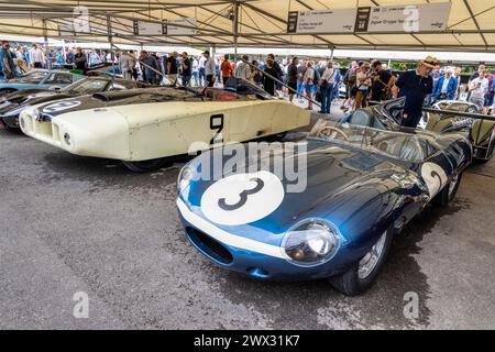 Jaguar d-type « Longnose » 1956 et Cadillac Series 61 « le monstre » 1950, 24h Centenaire du Mans. 2023 Goodwood Festival of Speed, Sussex, Royaume-Uni. Banque D'Images