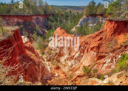 Parc national de Providence Canyon Banque D'Images