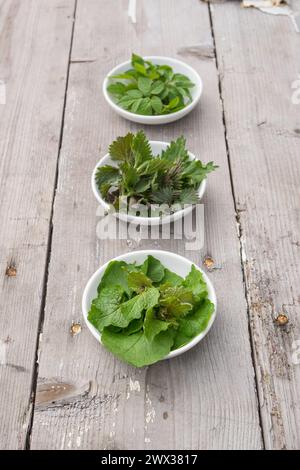 Bols blancs avec ortie piquante fraîche, gourde et roquette à l'ail sur un fond en bois Banque D'Images