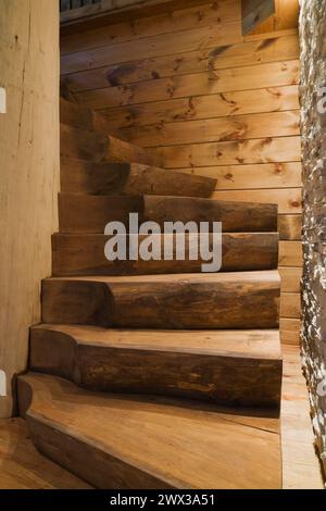 Escalier en bois torsadé lumineux avec demi-marches en rondins teintées brunes fixées à un grand montant central de support blanchi du tronc d'arbre plus Banque D'Images