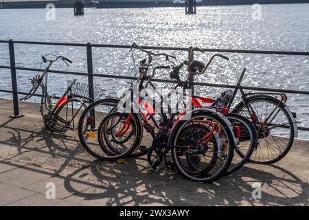 Des bicyclettes à la ferraille, vieilles bicyclettes partiellement pillées et démantelées, dans la HafenCity à Hambourg, sur les rives d'un bassin portuaire, Banque D'Images