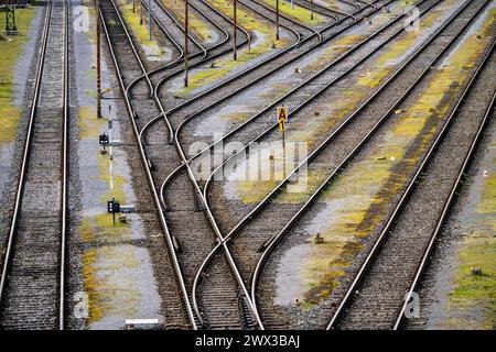 Systèmes de voies ferrées, voies de manœuvre, voies d'évitement, embranchements, gare de triage Mülheim-Styrum, sur la ligne de chemin de fer entre Mülheim an der Ruhr et Duisburg Banque D'Images