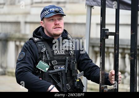 Metropolitan Firearms Officer, Downing Street, Whitehall, Londres, Royaume-Uni Banque D'Images