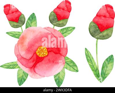 Composition de camellia japonica avec des fleurs doubles rouges et des feuilles. Illustration d'aquarelle botanique. Style stylisé simple. Dessiné à la main Jeu de Illustration de Vecteur