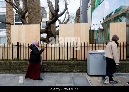 Hornsey, Londres, Royaume-Uni. 27 mars 2024. L'œuvre d'art de l'arbre Banksy a été entourée de planches et le mur recouvert de perspex. Credit : Matthew Chattle/Alamy Live News Banque D'Images