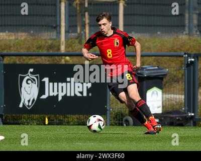 Tubize, Belgique. 25 mars 2024. Andreas Verstraeten (8) de Belgique photographié lors d'un match amical de football entre les équipes nationales de Belgique et du pays de Galles de moins de 18 ans le lundi 25 mars 2024 à Tubize, Belgique . Crédit : Sportpix/Alamy Live News Banque D'Images