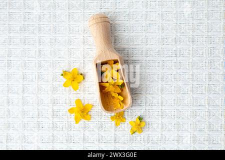 Hypericum perforatum connu sous le nom de perforate St John's-wort fleurs jaunes sur cuillère en bois, fond blanc. Copier l'espace. Banque D'Images
