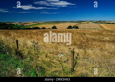 Un paysage d'été dans la Chalke Valley, South Wiltshire. Banque D'Images