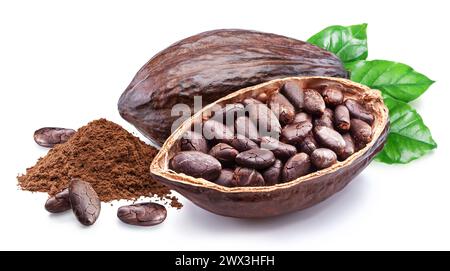 Fèves de cacao séchées dans la moitié de la gousse de cacao isolée sur fond blanc. Banque D'Images