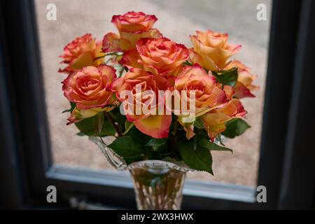 bouquet de roses dans un vase Banque D'Images