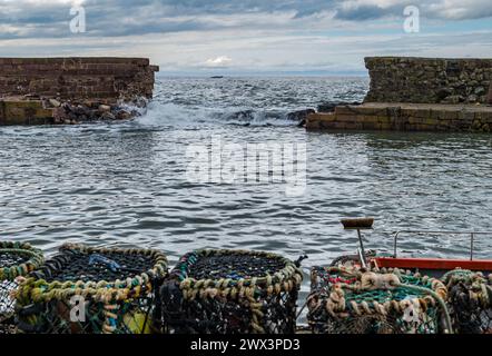 North Berwick, East Lothian, Écosse, Royaume-Uni, 27 mars 2024. Réparations au mur du port : North Berwick Harbour Trust collecte des fonds pour la réparation du trou de brèche dans l'ancien mur à la suite des dommages causés par les tempêtes hivernales combinées aux marées printanières élevées. Crédit : Sally Anderson/Alamy Live News Banque D'Images