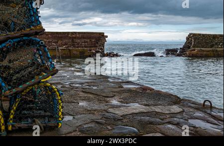 North Berwick, East Lothian, Écosse, Royaume-Uni, 27 mars 2024. Réparations au mur du port : North Berwick Harbour Trust collecte des fonds pour la réparation du trou de brèche dans l'ancien mur à la suite des dommages causés par les tempêtes hivernales combinées aux marées printanières élevées. Crédit : Sally Anderson/Alamy Live News Banque D'Images