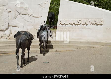 Sculpture de chevaux de bronze, mules des animaux dans le mémorial de guerre, Hyde Park, Londres, Royaume-Uni Banque D'Images