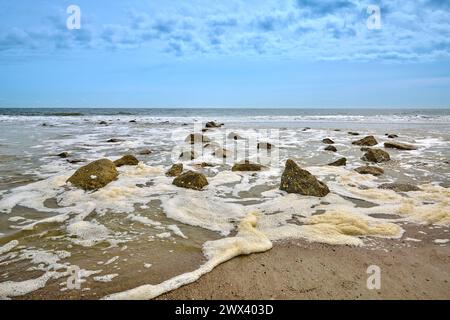 Groupe de pierres dans le surf au Hunting Island State Park. Banque D'Images