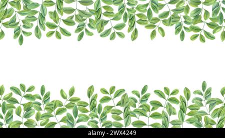 Feuilles vertes. Cadre horizontal de branches grimpantes de plante asiatique. Cassia, Wisteria. Illustration aquarelle. Pour cartes postales, salutations, invitation. Banque D'Images