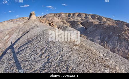 Un hoodoo rocheux solitaire dans les badlands violets près de Hamilili point à l'extrémité sud du parc national Petrified Forest en Arizona. Banque D'Images