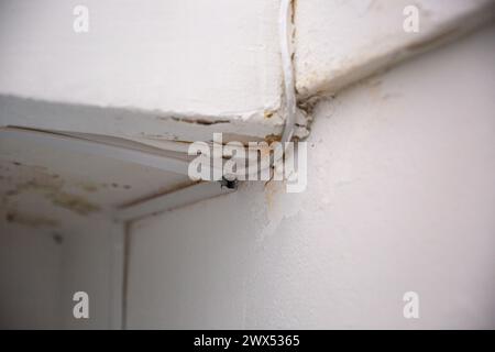 Câbles électriques dégradés sur un mur blanc Banque D'Images