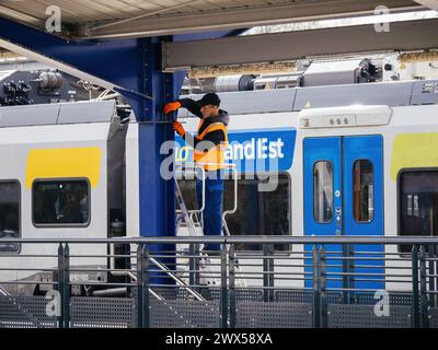 Haguenau, France - 20 mars 2024 : un travailleur installe des mesures anti-colossage pour les pigeons à la Gare du Haguenau, assurant la propreté et l'entretien de l'installation Banque D'Images