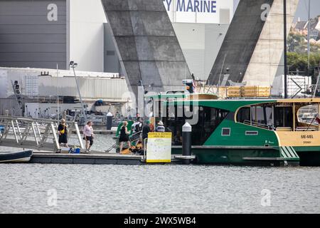 Sydney ferry me Mel à Blackwattle Bay, Sydney, NSW, Australie Banque D'Images