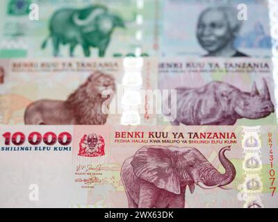 L'argent tanzanien - Shilling a business background Banque D'Images