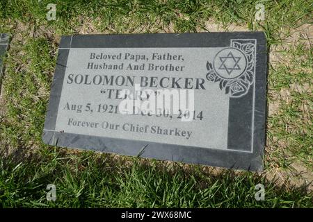 Mission Hills, Californie, USA 26 mars 2024 acteur/réalisateur/producteur Terry Becker grave à Eden Memorial Park le 26 mars 2024 à Mission Hills, Californie, USA. Il a travaillé sur voyage to the Bottom of the Sea, The Mod Squad, Mission impossible, MASH, Bonanza, Perry Mason, Gunsmoke, et beaucoup d'autres. Photo de Barry King/Alamy Stock photo Banque D'Images