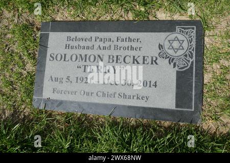 Mission Hills, Californie, USA 26 mars 2024 acteur/réalisateur/producteur Terry Becker grave à Eden Memorial Park le 26 mars 2024 à Mission Hills, Californie, USA. Il a travaillé sur voyage to the Bottom of the Sea, The Mod Squad, Mission impossible, MASH, Bonanza, Perry Mason, Gunsmoke, et beaucoup d'autres. Photo de Barry King/Alamy Stock photo Banque D'Images