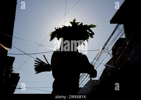 Mandaluyong City, Philippines. 28 mars 2024. Un dévot lui fouette le dos avec des bâtons de bambou le jeudi Saint. Beaucoup de dévots catholiques philippins passent leur semaine Sainte en faisant différentes formes de pénitence physique pour se repentir de leurs péchés. Crédit : SOPA images Limited/Alamy Live News Banque D'Images