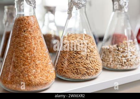 Échantillons de grains gravés et transformés dans des tubes à essai en verre dans un laboratoire d'agrochimie. Banque D'Images